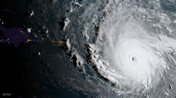 Irma, te édes vol.1.