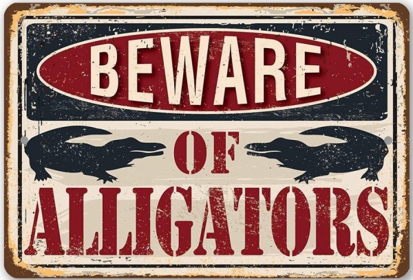 See you later, Alligator!
