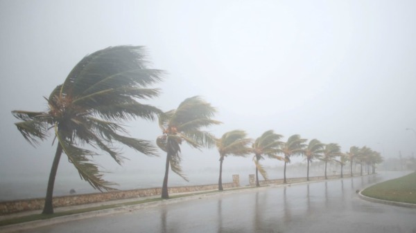 Irma te édes vol. 3